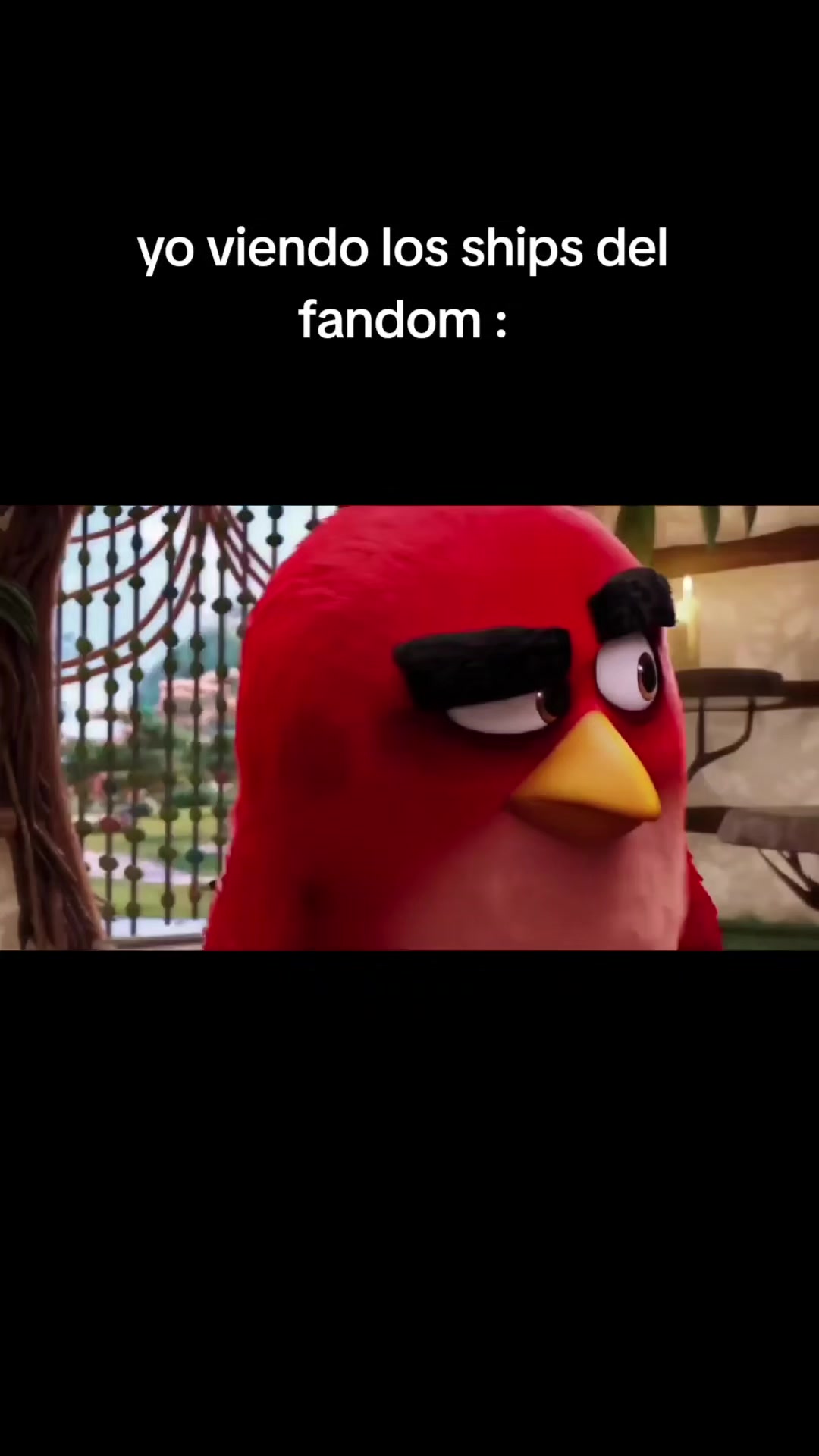 @michpley