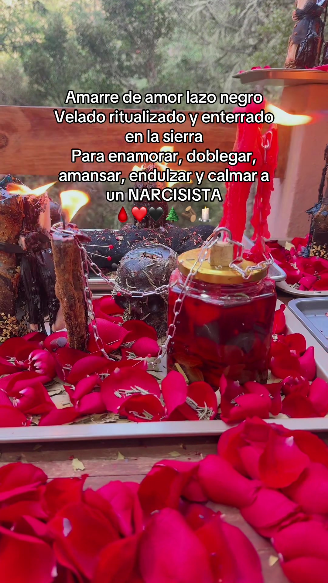 @Ana Suarez 300