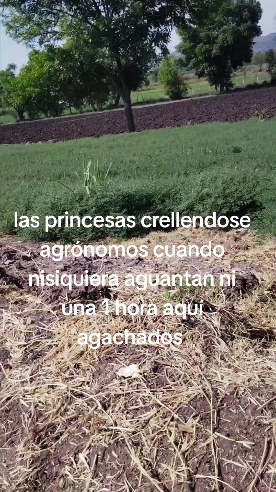 @EL DELA ZTA ROJA ❤️