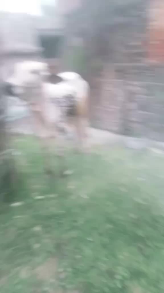 @Ali Khan