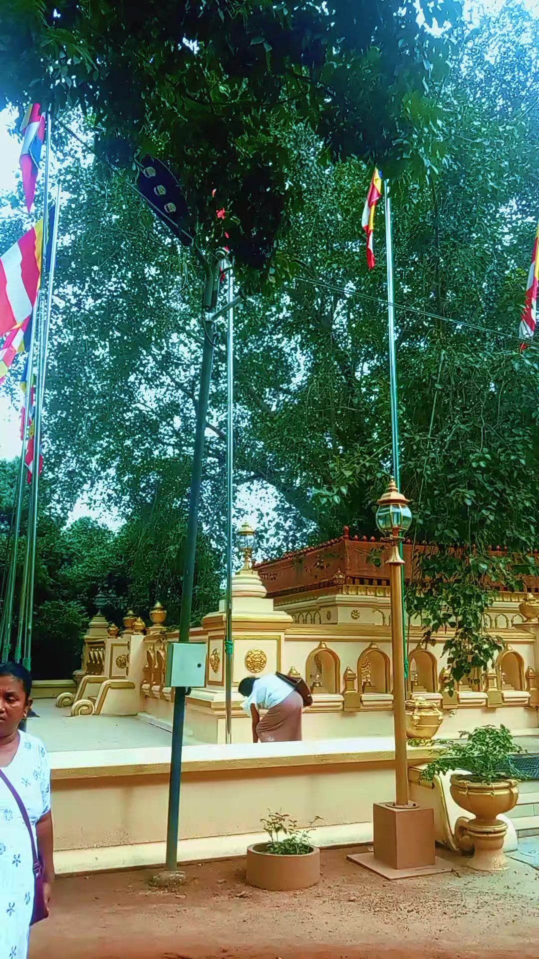 @සබ්බ දානං ධම්ම දානං ජිනාති