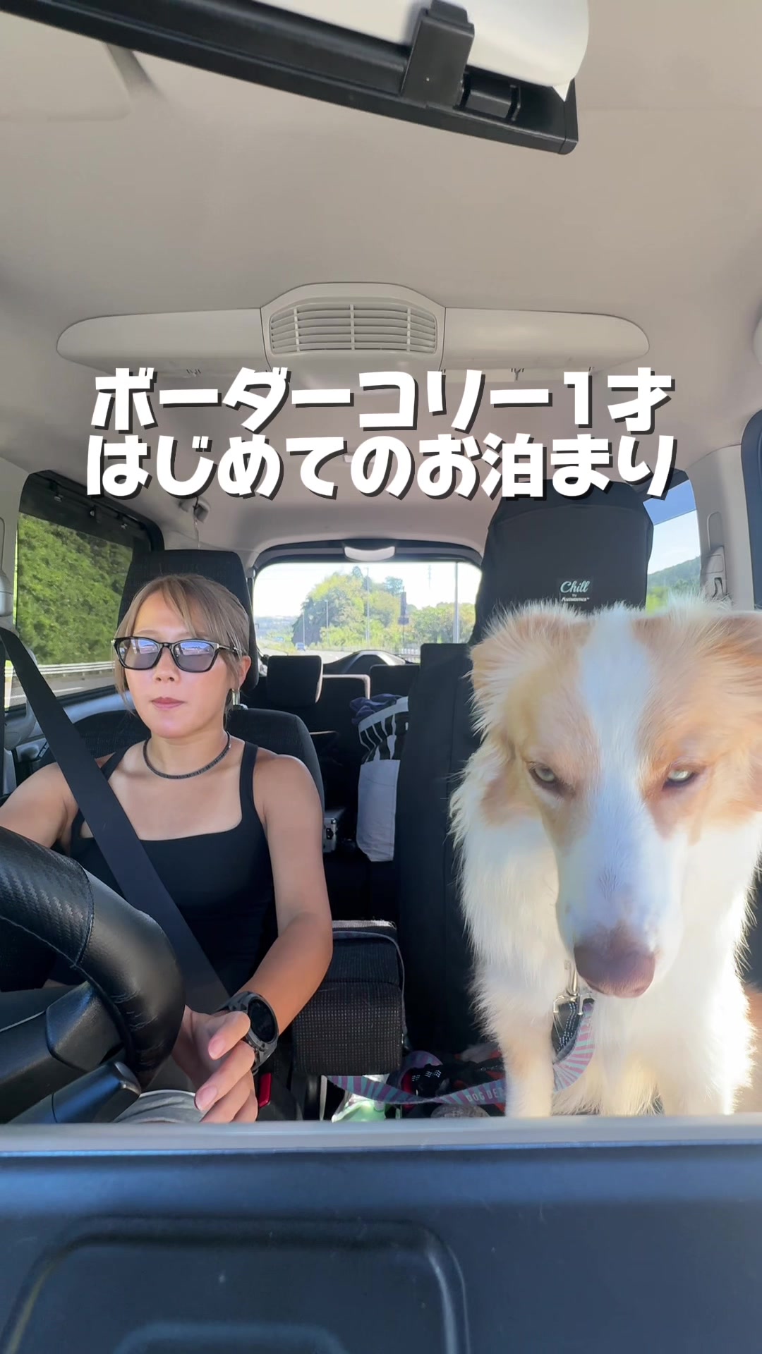 @陣在ほのか