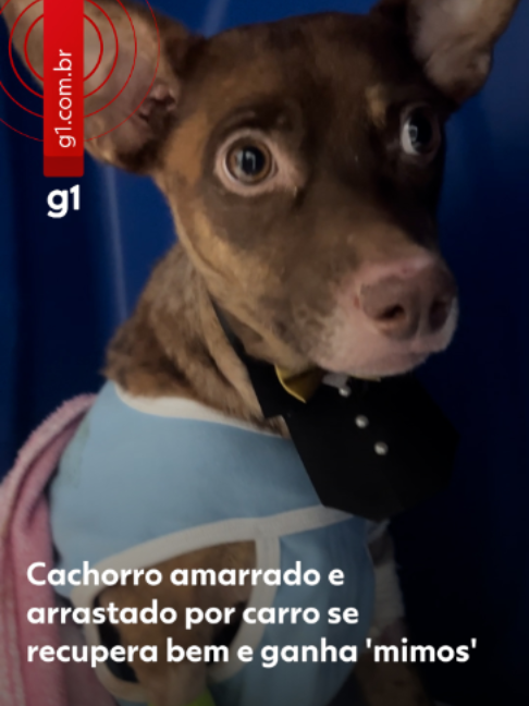 @g1