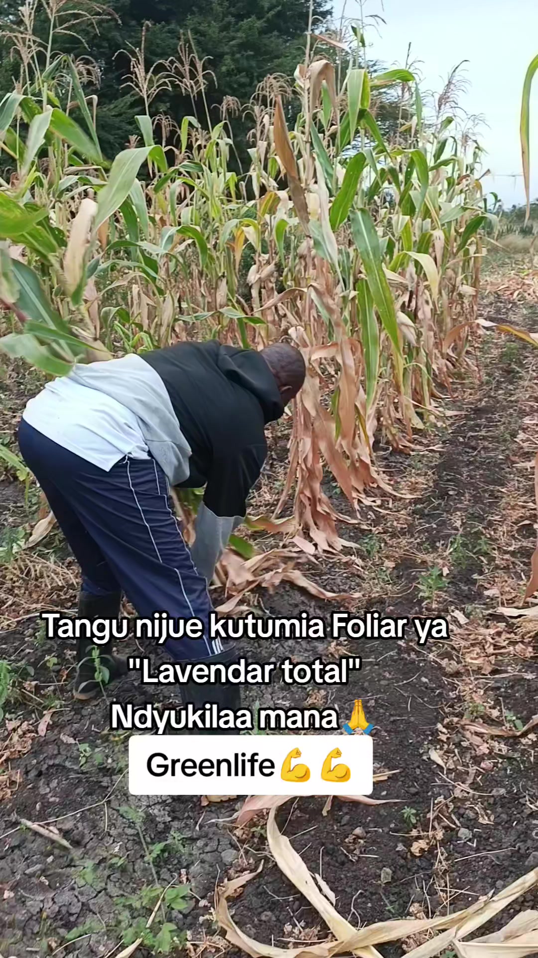 @NDUMBULE THE BRAND
