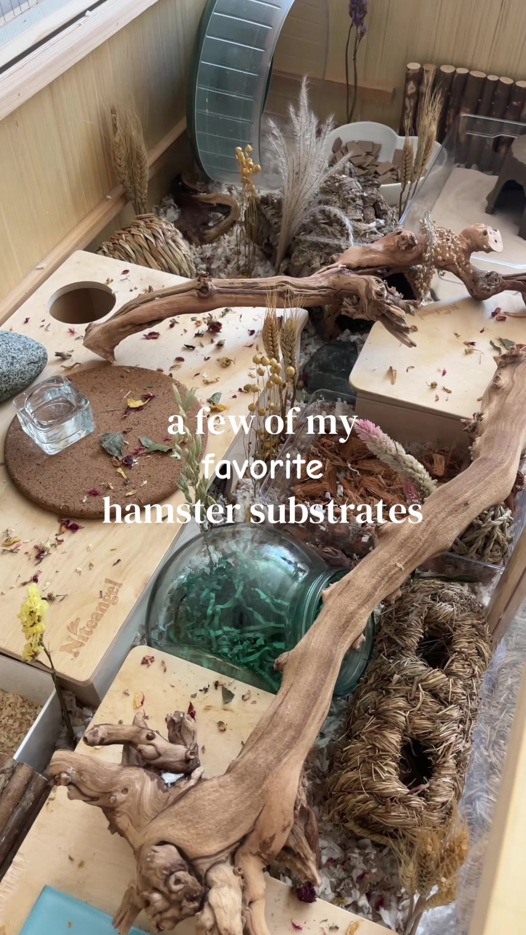 @ɪꜱʟᴀ