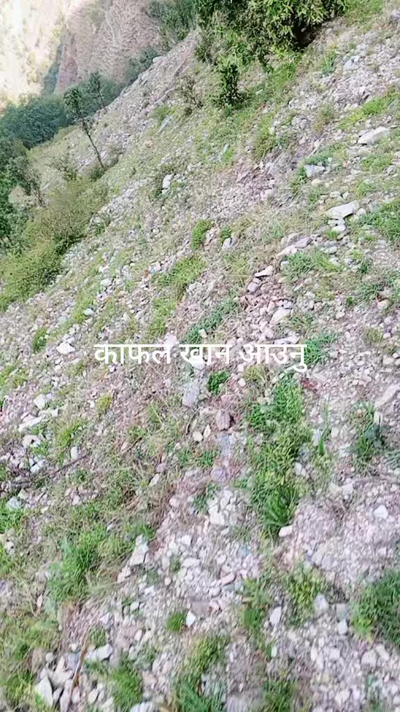 @सुन्दर सुदूरपश्चिम प्रदेश न. ७
