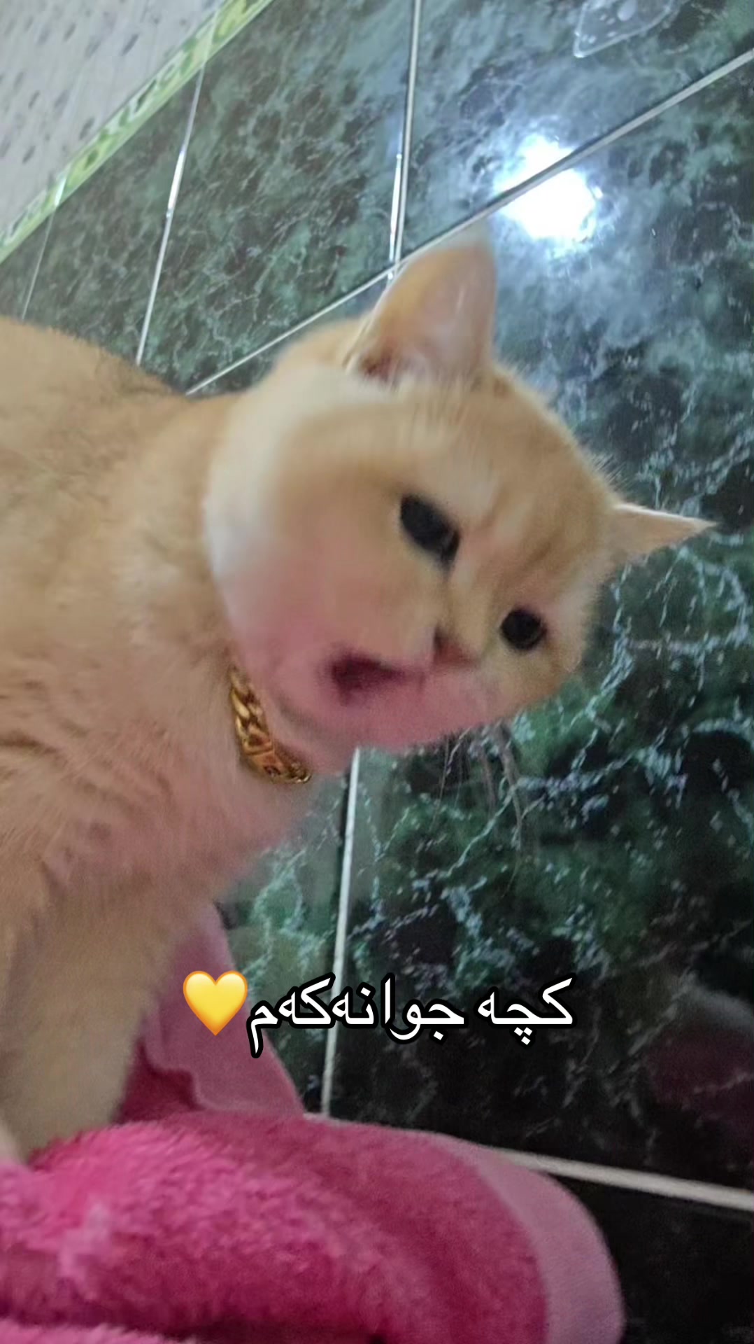 @3pshilaka