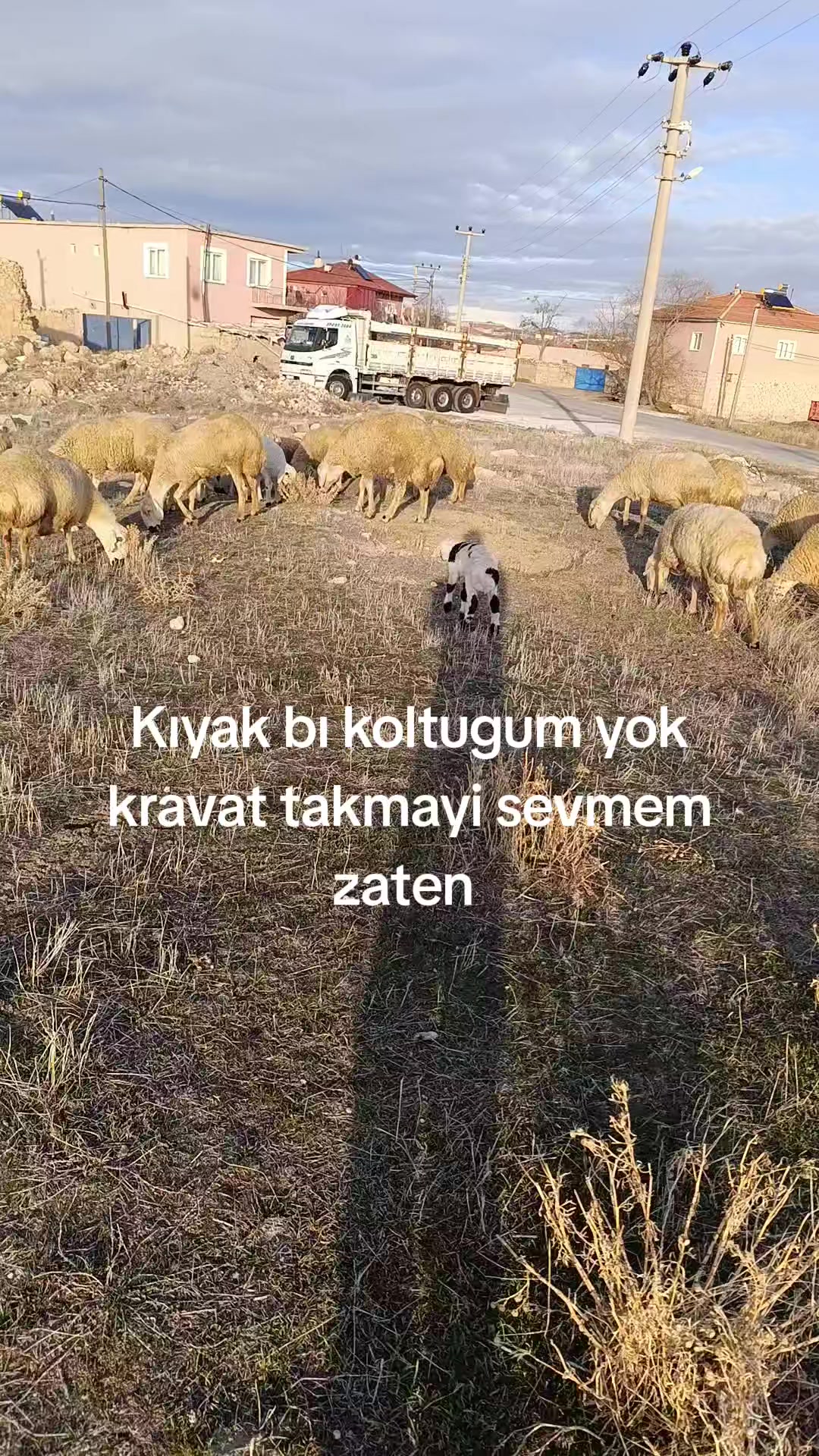 @B.kemal