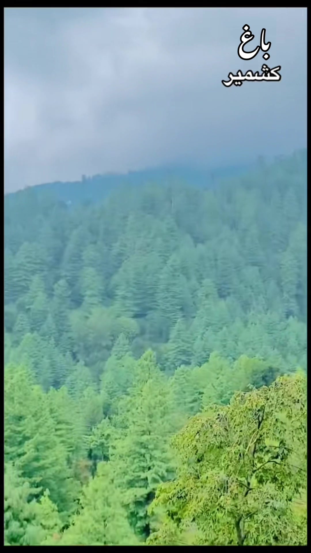@آل پاکستان اناؤنسرعثمان کرنانہ