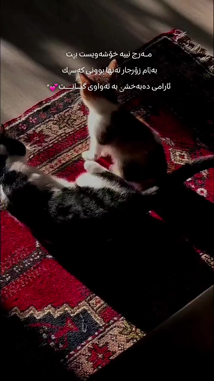 @تیـانـا❤🐈