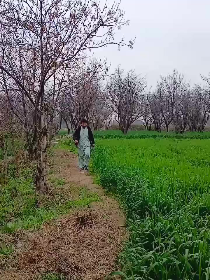 @Manzoor Ahmad Barki