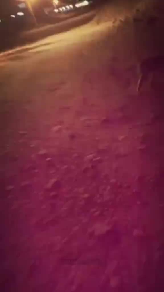 @Ayda Mamani