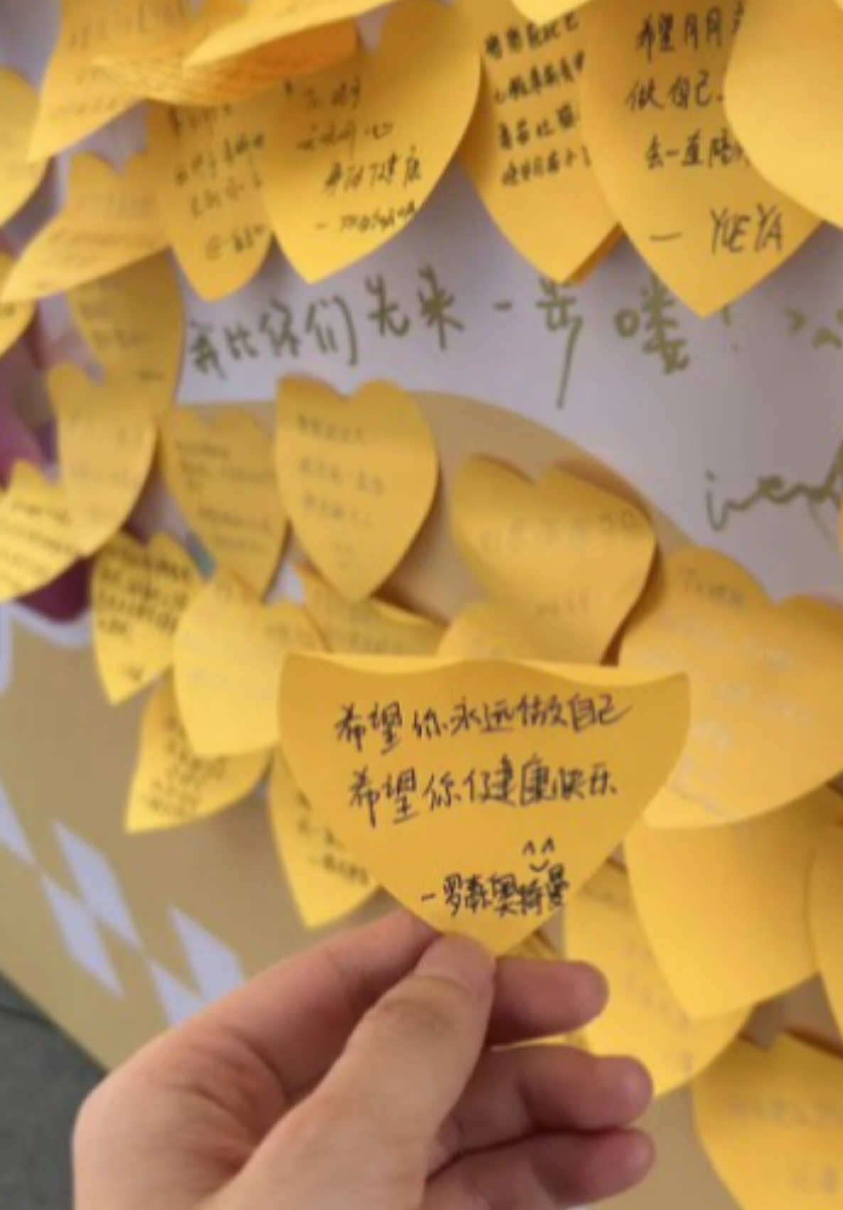 @Shen Yue Archive