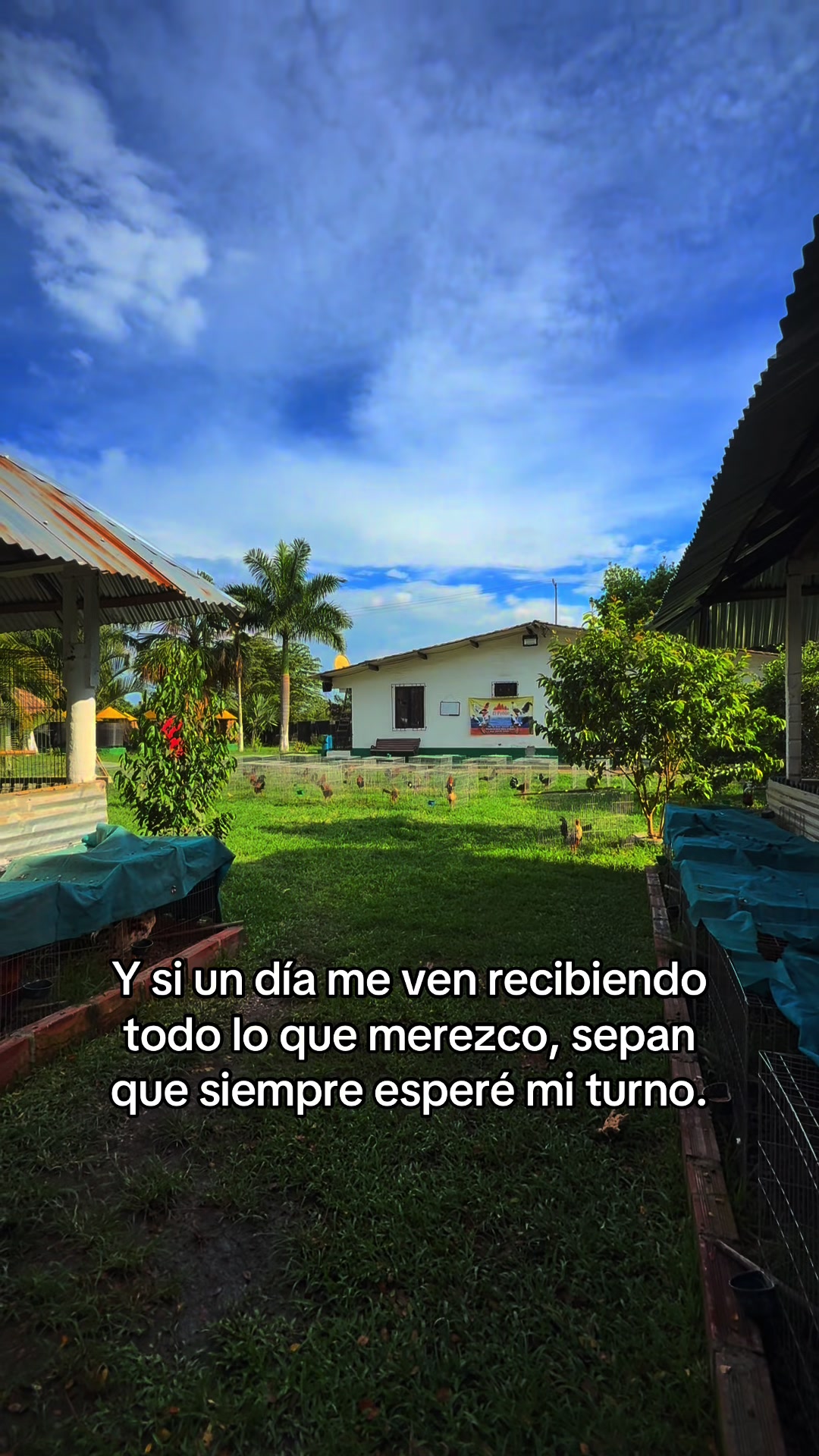 @Fabiana Rodriguez