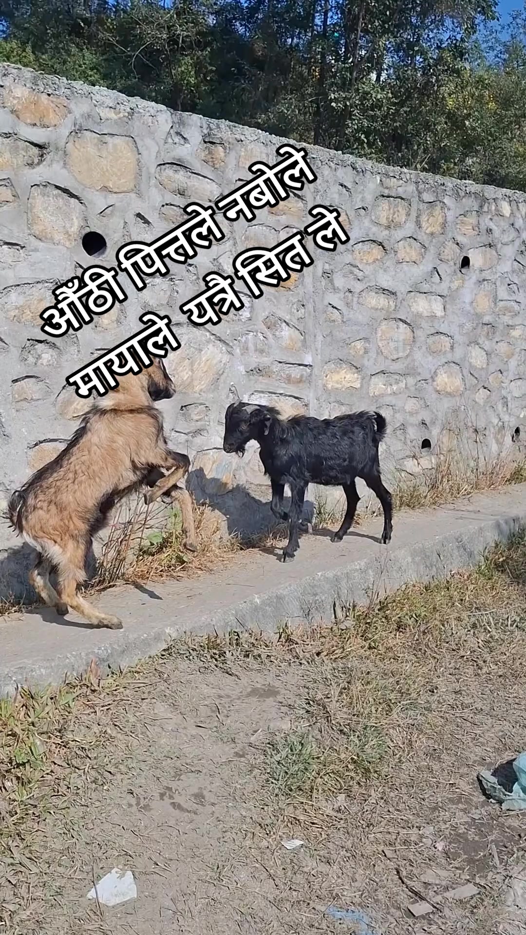 @@fani thapa