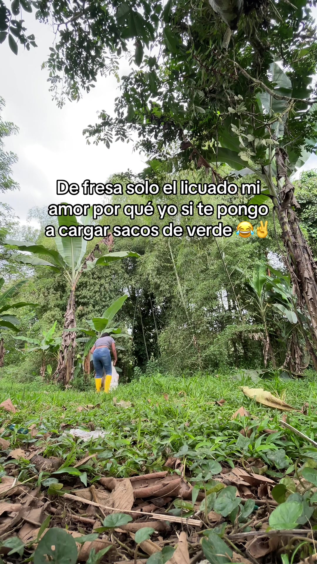 @AbiOliveratto🐹