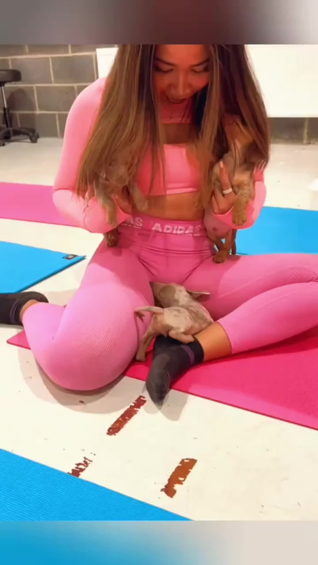 @cuteanimals472