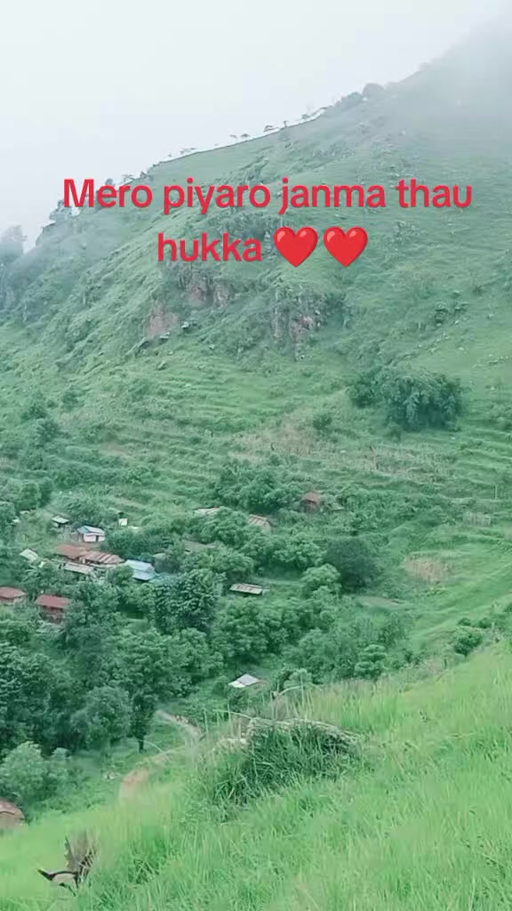 @Shanti Acharya925