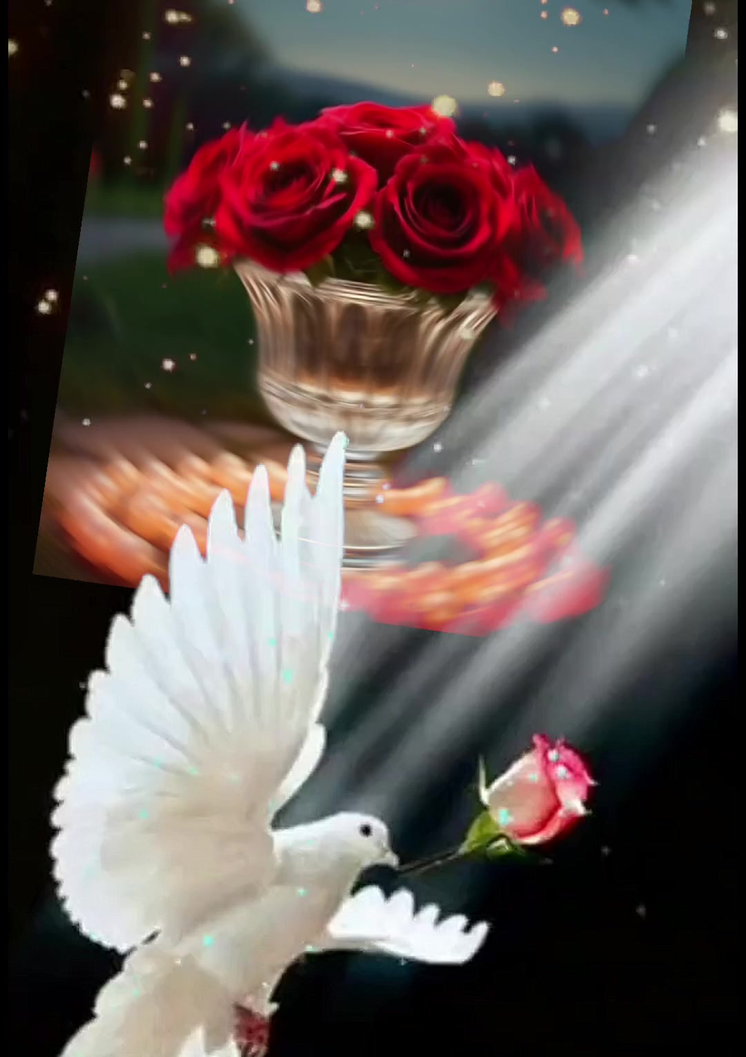 @♥️ அம்மு♥️