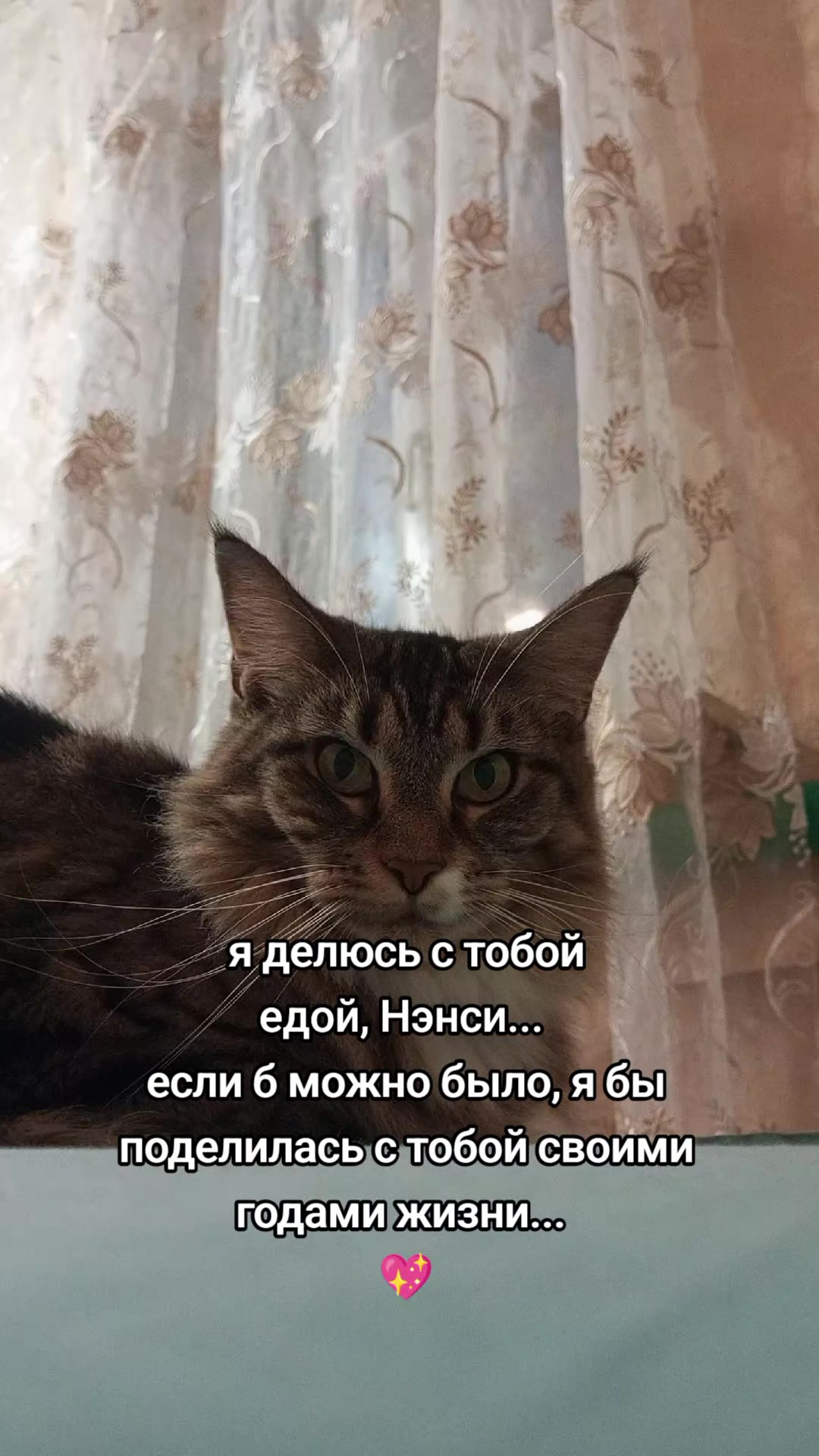@Юлек Петербург-Елец
