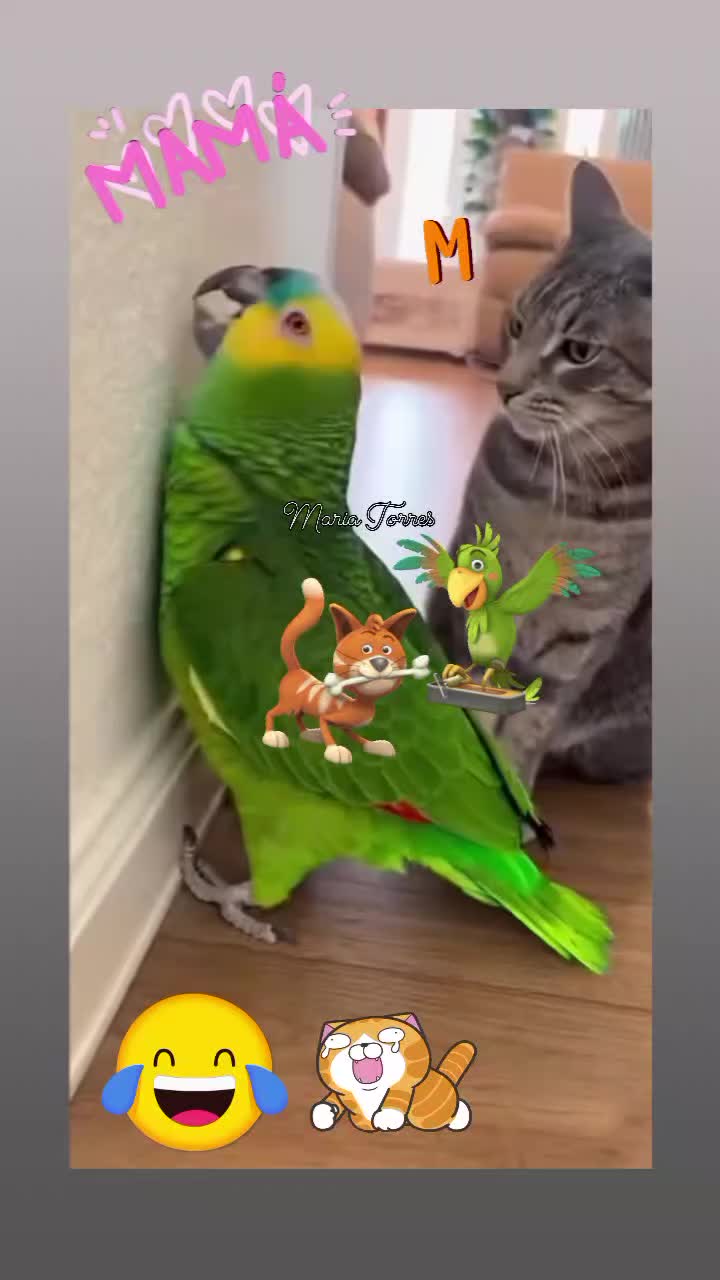 @🍄💛🩷🐥ᎷᏗᏒᎥᏗ ᏖᎧᏒᏒᏋᏕ🐥💛🩷🍄