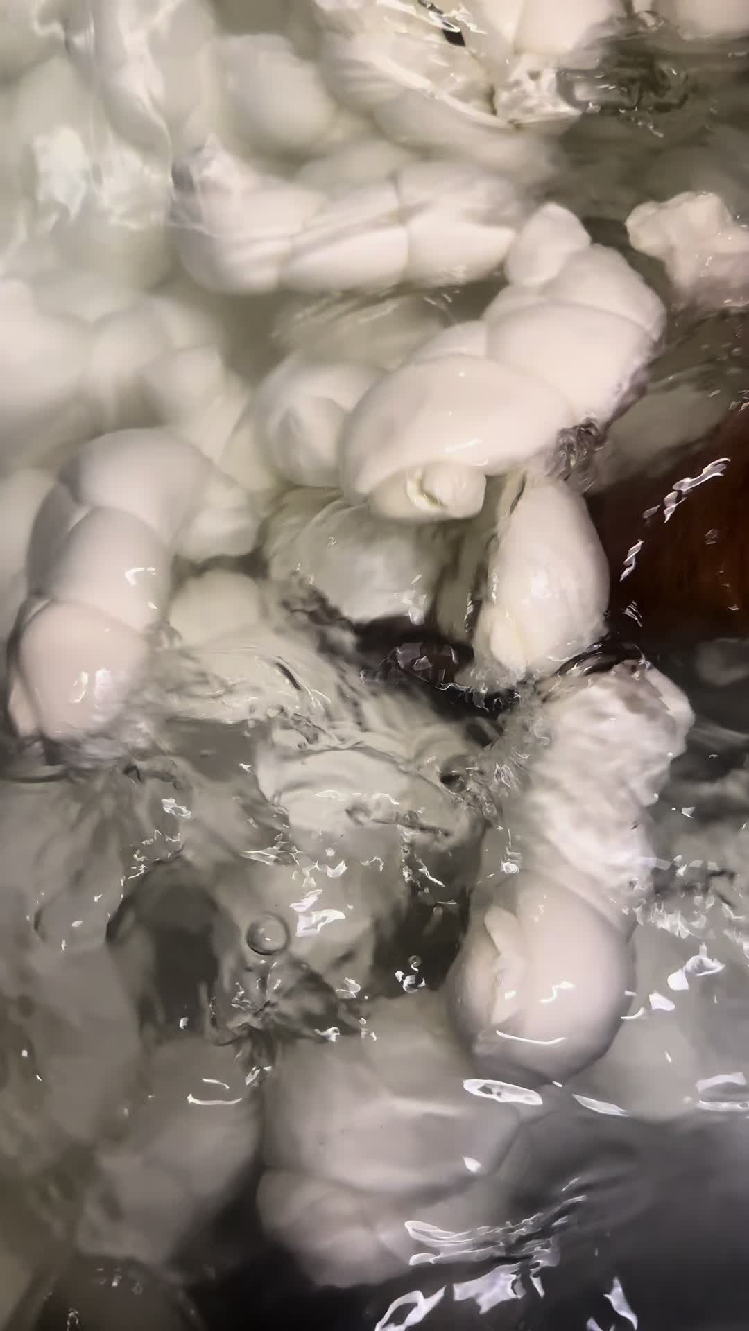 @Visitalbania__