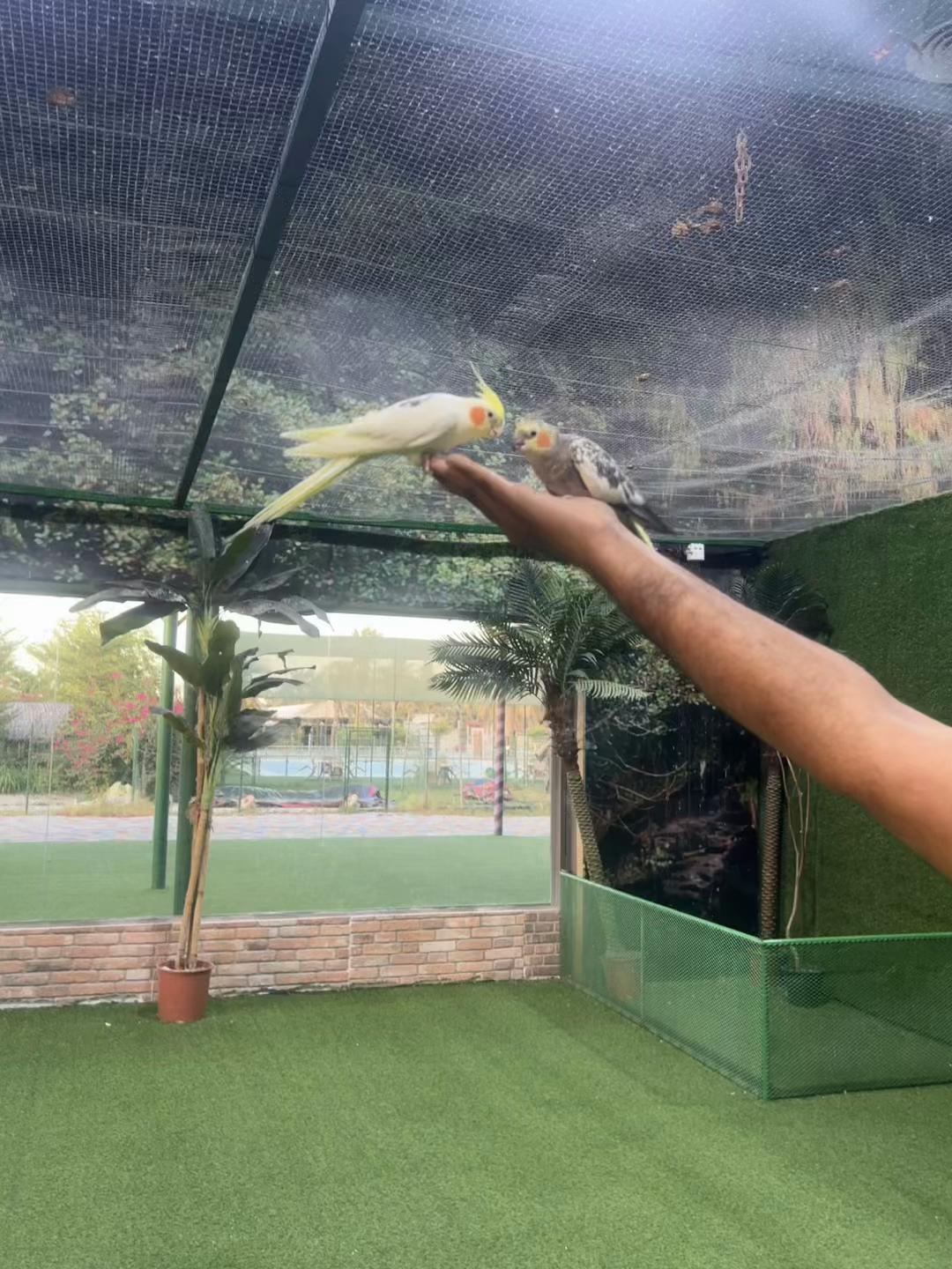 @RK@