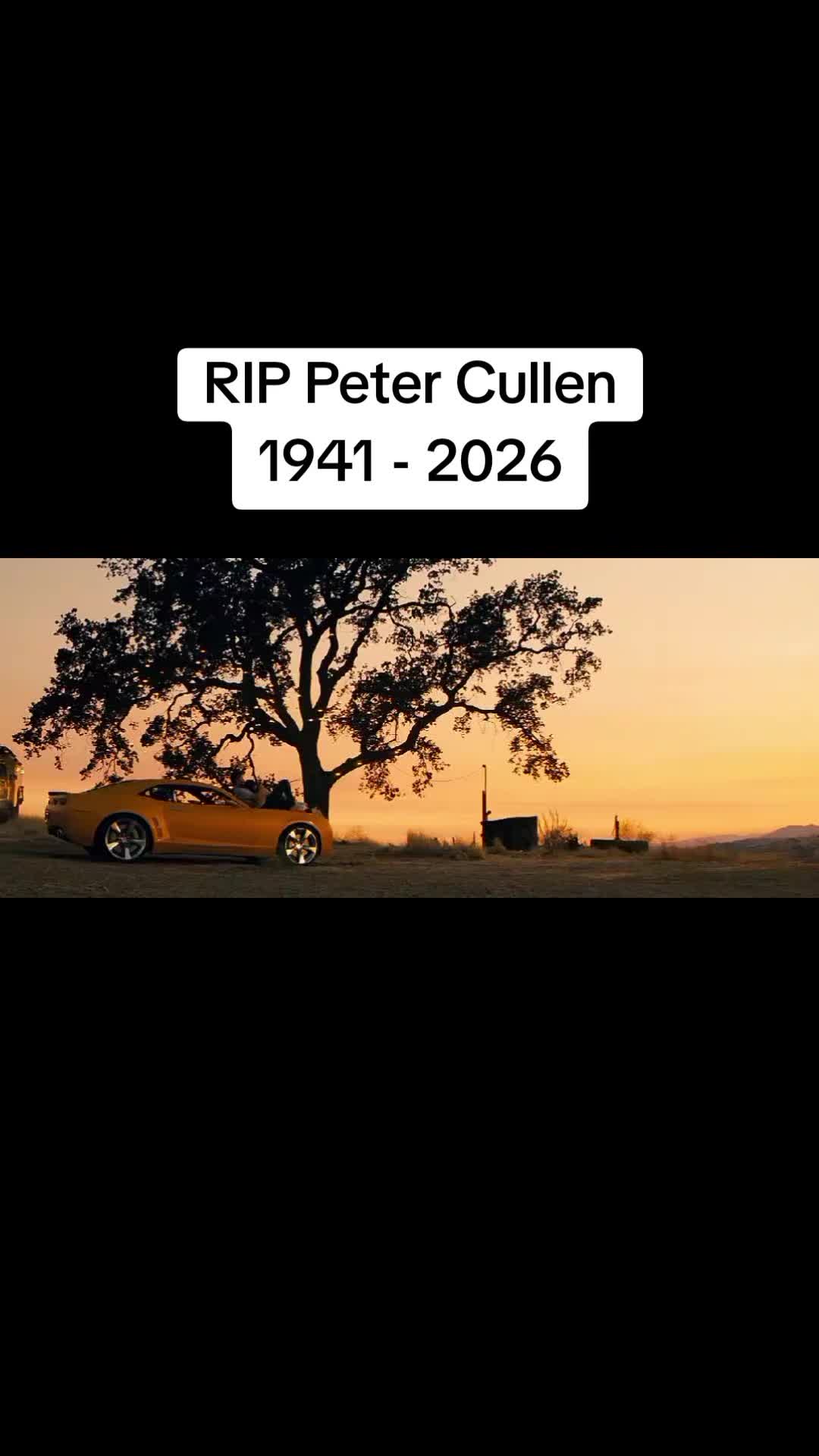 @Selenologist(Asychronous)