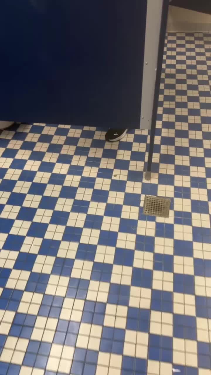 @Crab_Viohelper🙏🥹