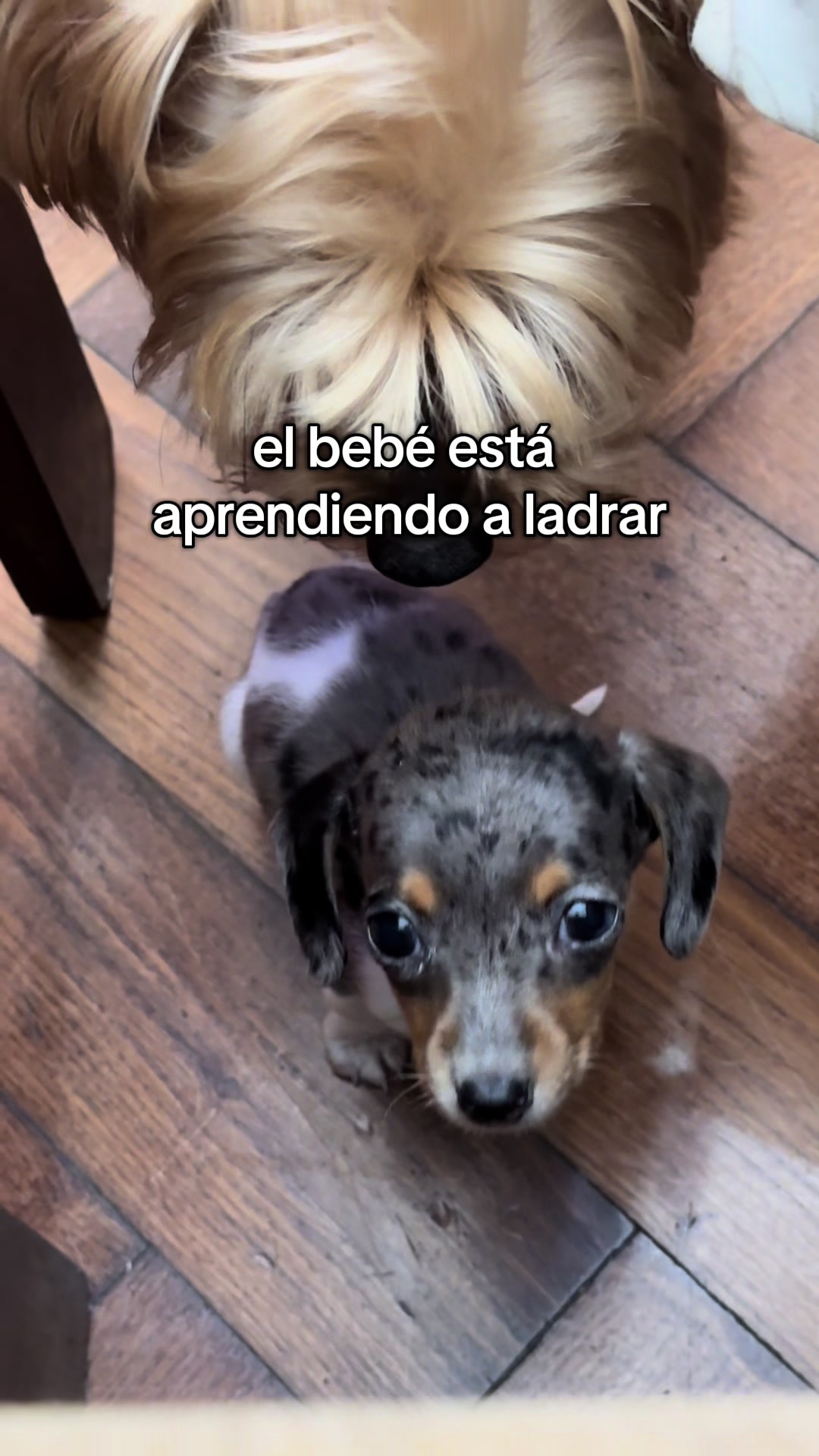 @sofi