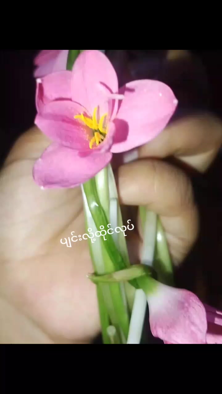 @Zuzana_Rong