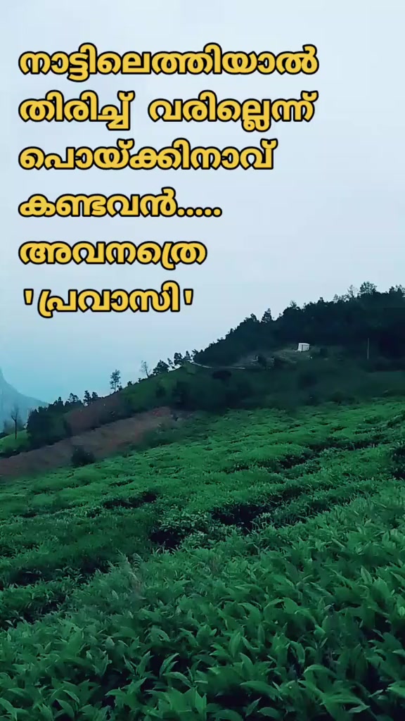@MUSAFFIR🇮🇳 مسافر 🇸🇦
