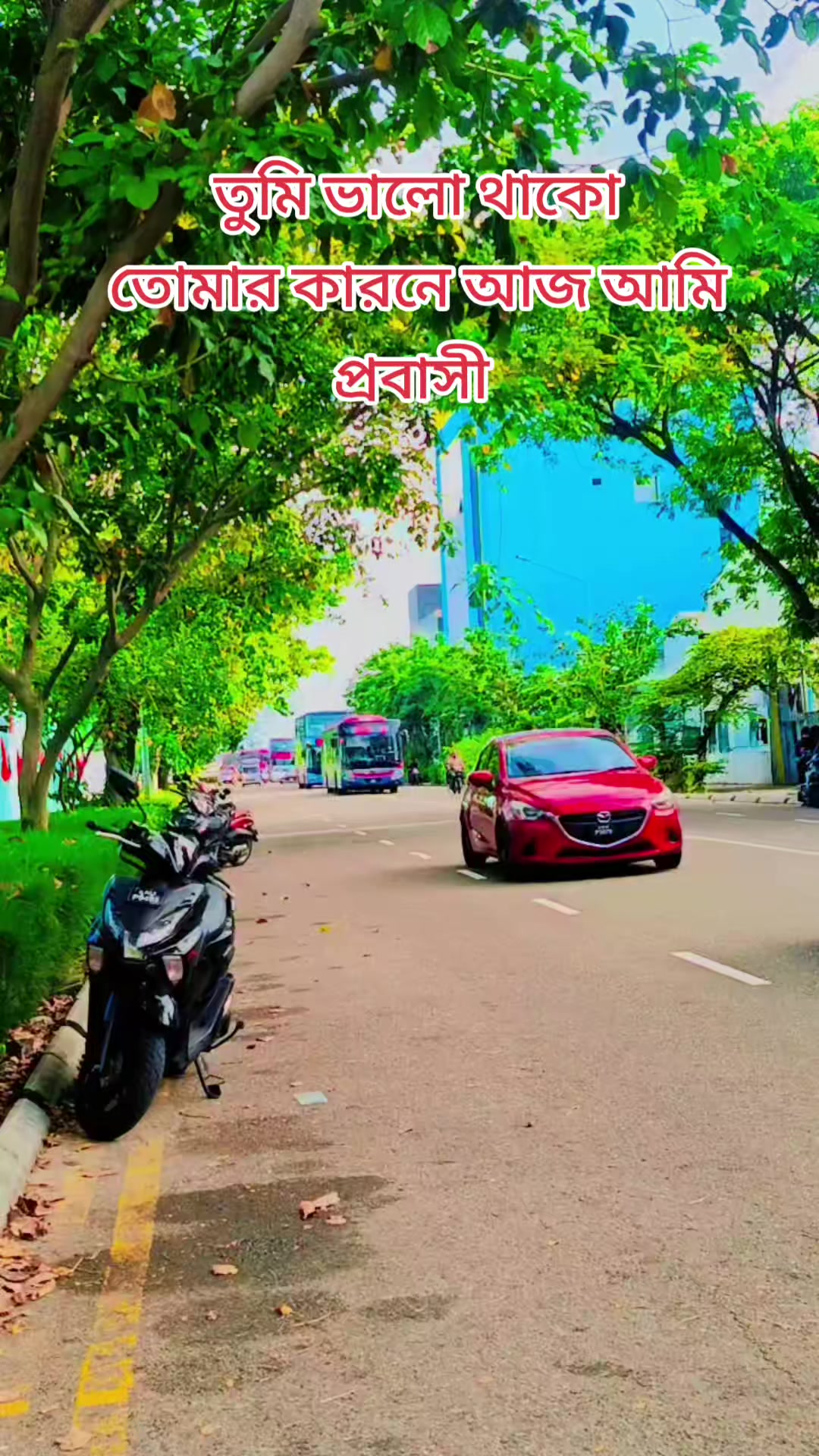 @᭄˓⃝ᚐ Sanjida☻︎᭄˓⃝❉Akht•┈•🇲🇻