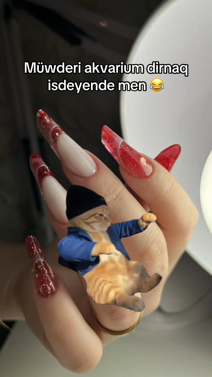 @nails.yevlax.66