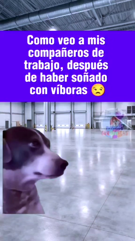 @LA VIDA ES UNA NOTA - SIGUEME
