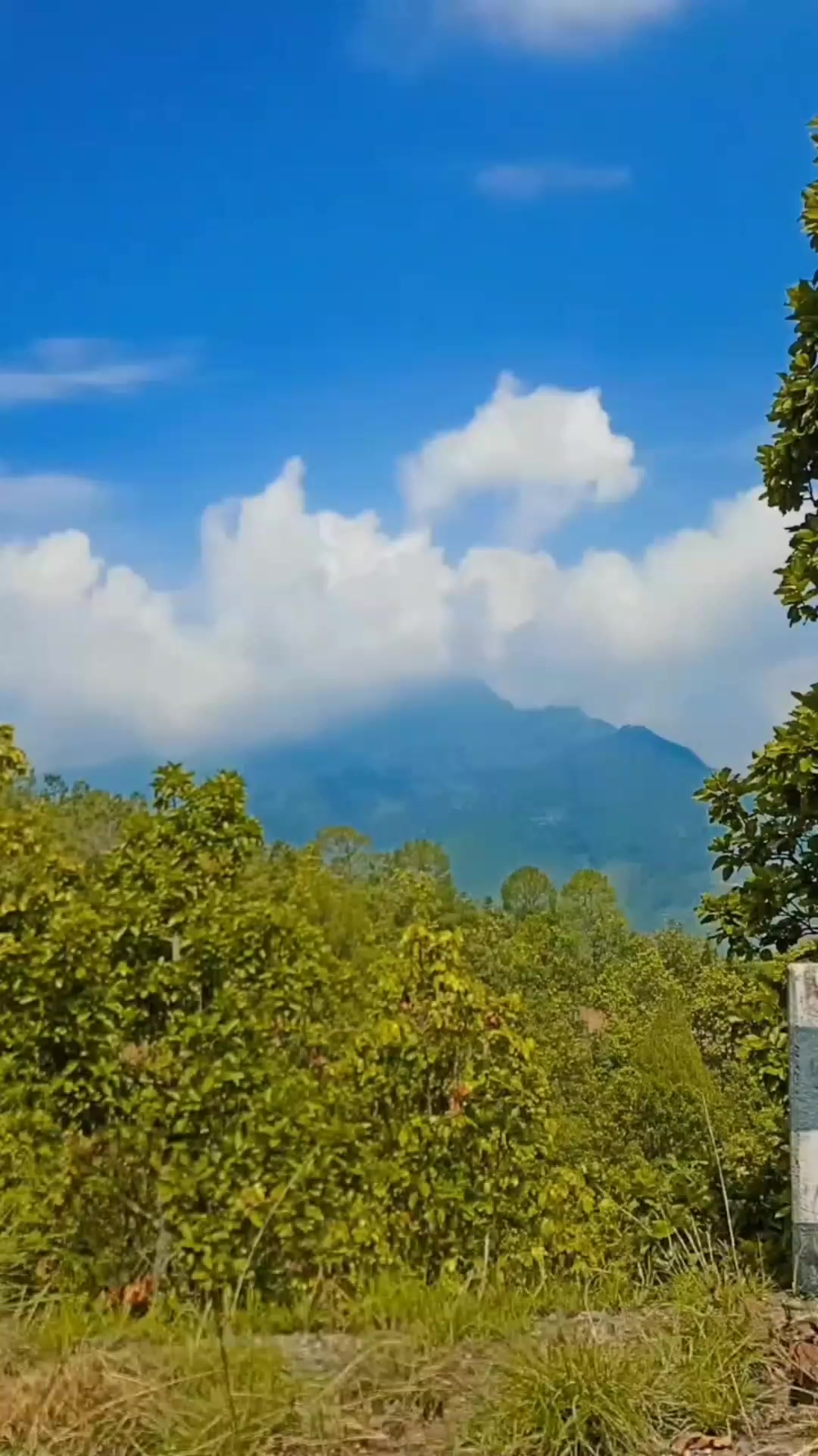 @geeta nepal11