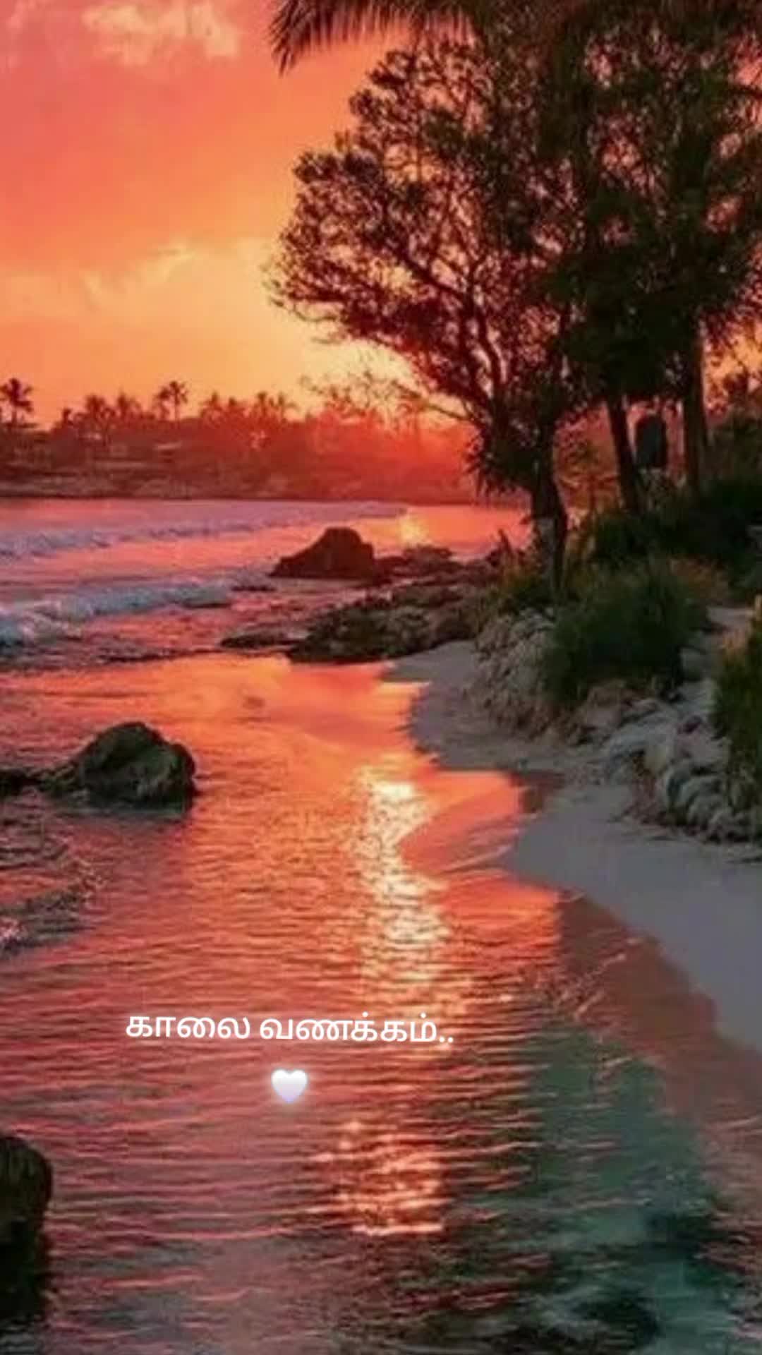 @Amutha🎶🦋🤍