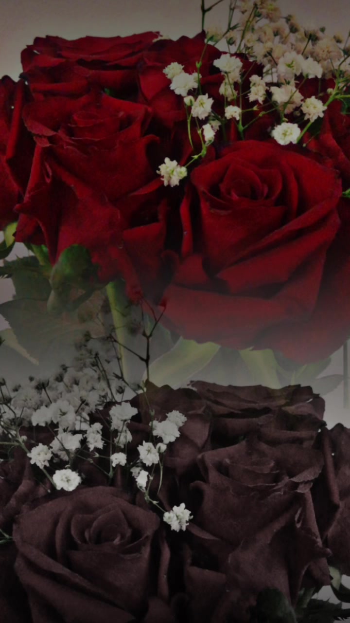 @_~Soka🥀~_