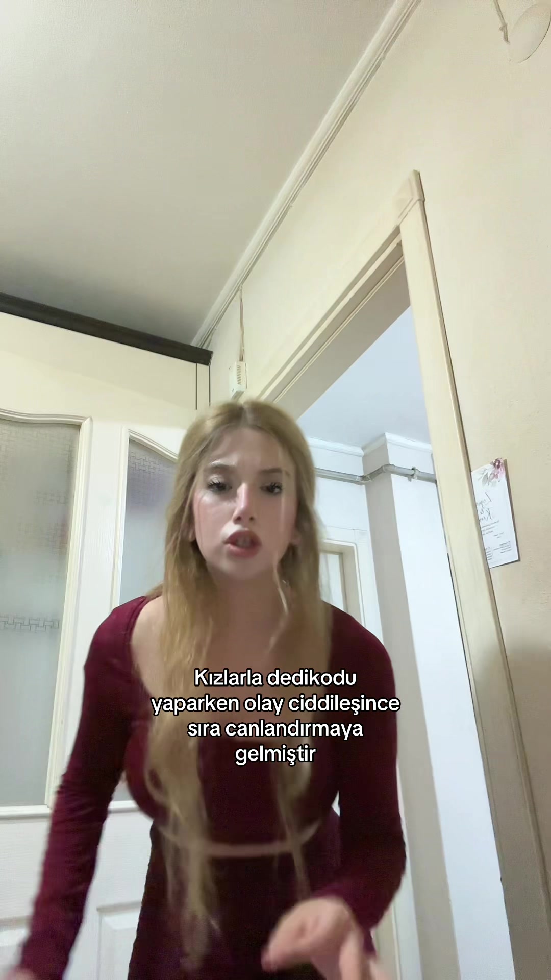 @elcinnplt62