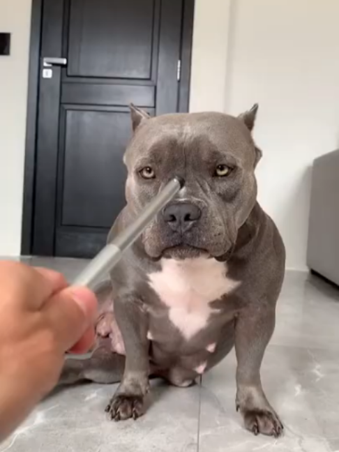 @uxifnfsiyyn