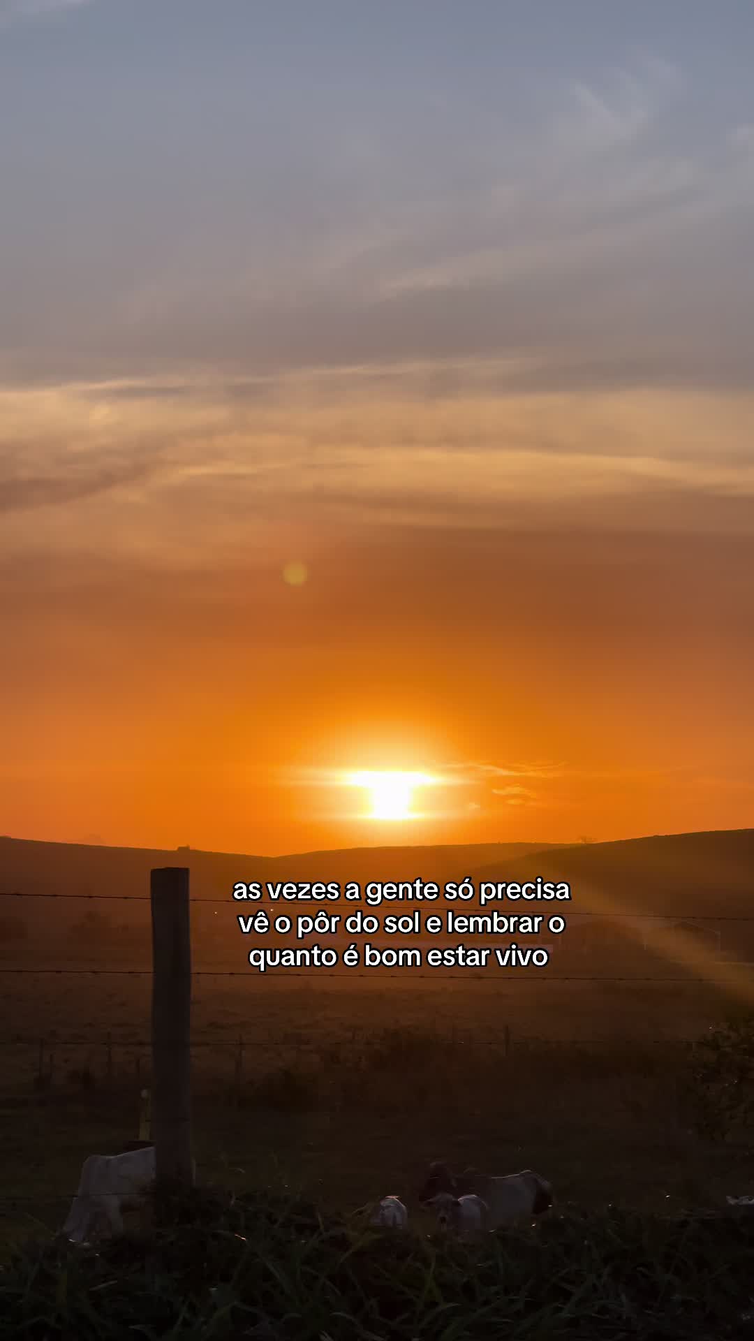 @ls_biaa