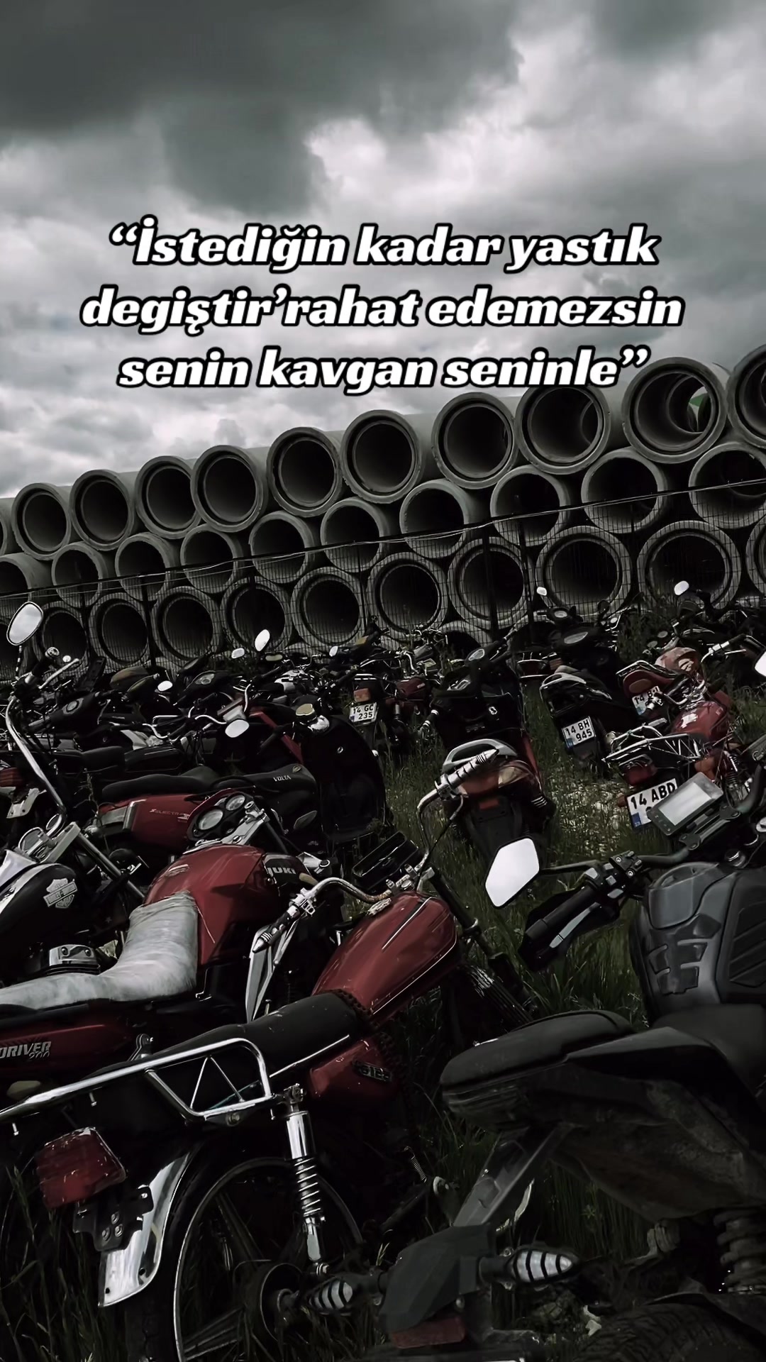 @ᴇʜʟɪ