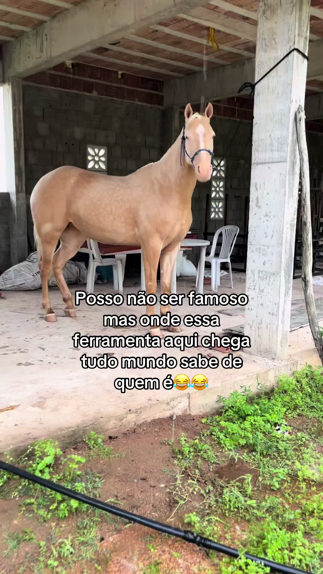 @CADU 