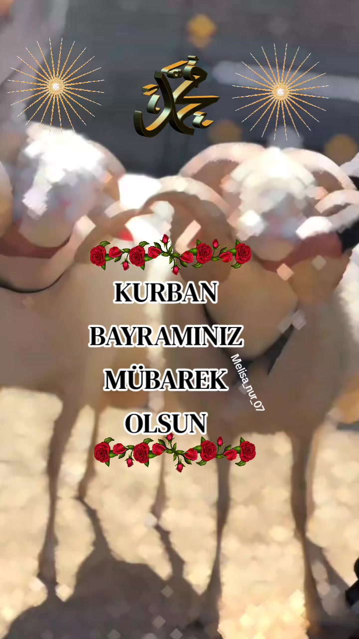 @♡★᭄ꦿ᭄ EZ   ᭄ꦿ᭄:♡MELİSA★᭄ꦿ᭄ ♡