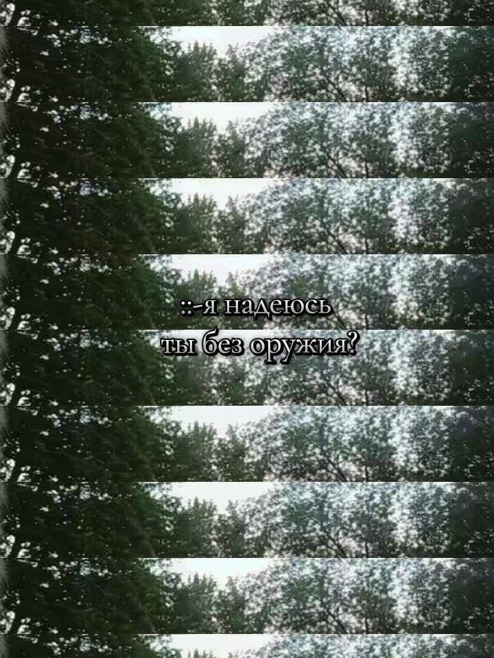 @tishka🐾