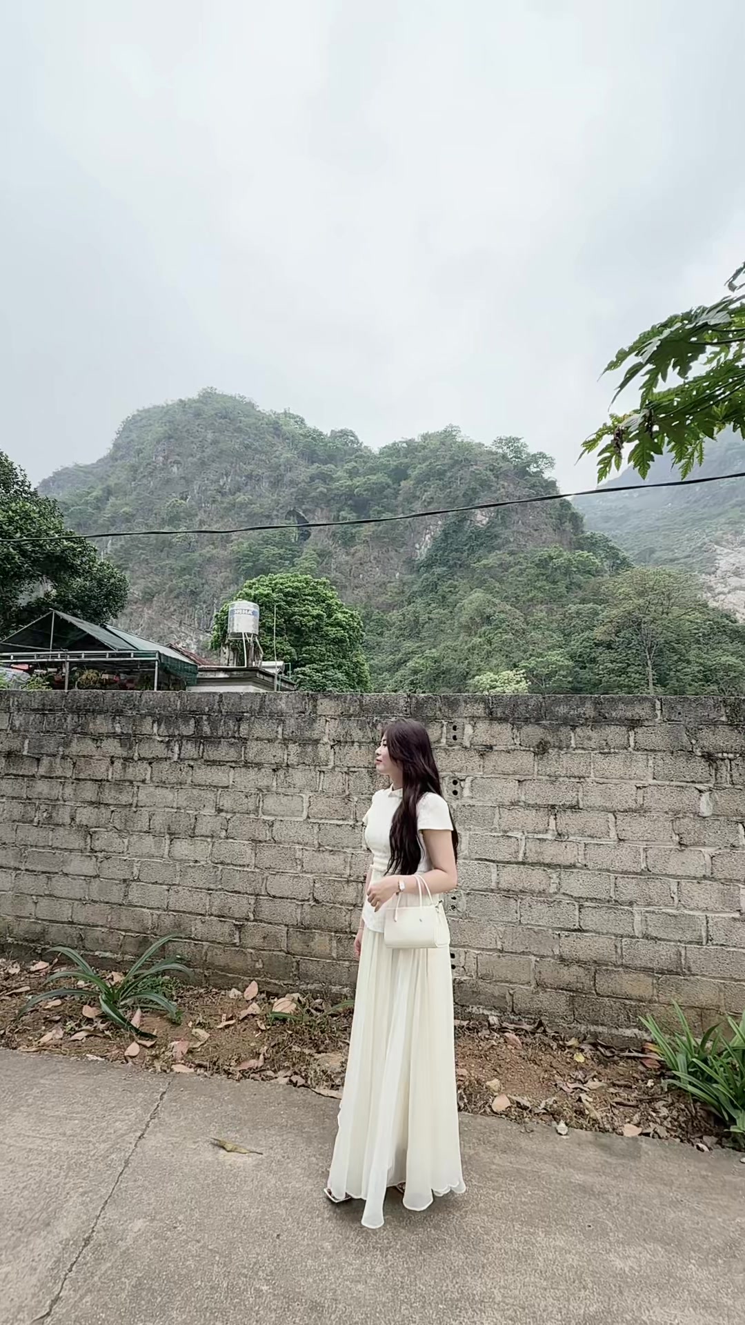 @🍄 Linh Chi 🍄