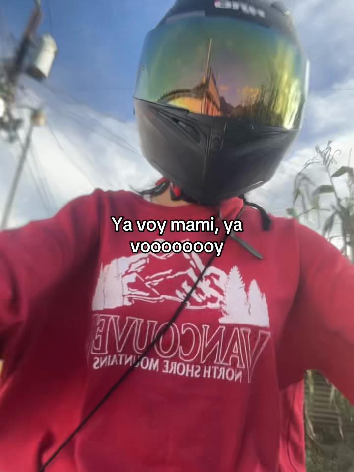 @ama lylis