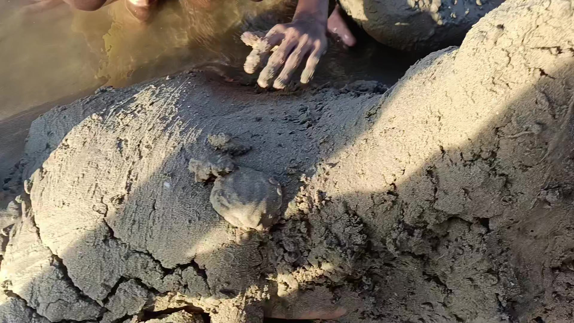 @MadamFlopqia