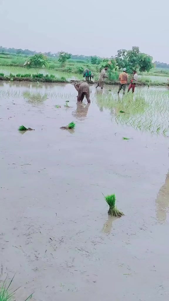 @Prateema Neupane
