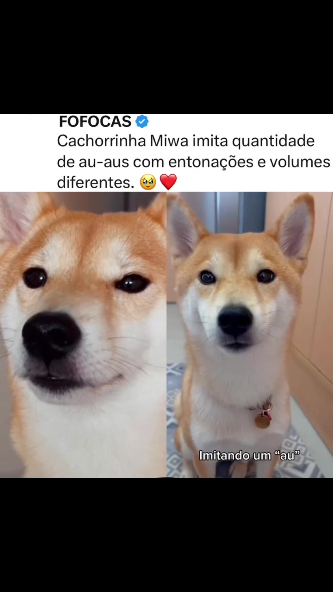 @FOFOCALIZANDO